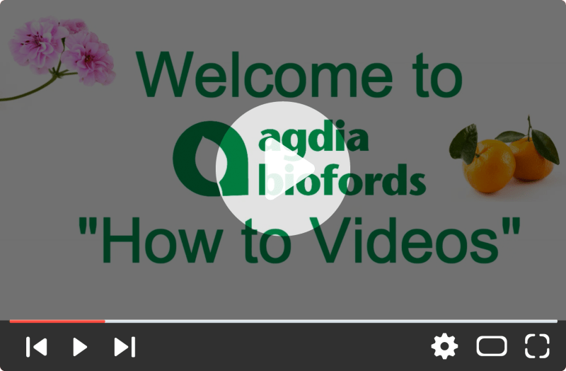 How to perform an isothermal amplification test with AmplifyRP?