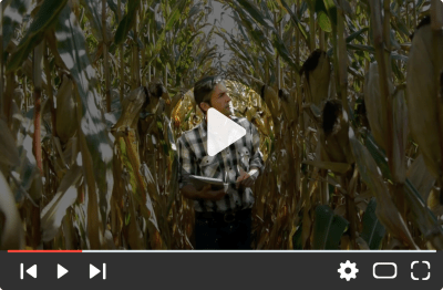 What is Recombinase Polymerase Amplification?